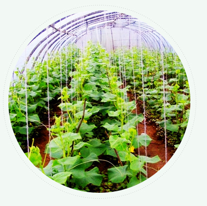 自有專業(yè)規(guī)劃設(shè)計(jì)團(tuán)隊(duì) 自有專業(yè)規(guī)劃設(shè)計(jì)團(tuán)隊(duì)