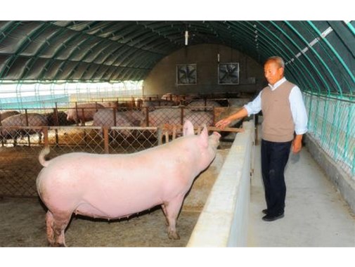 2020年養(yǎng)殖污水處理規(guī)模增長率升至20%