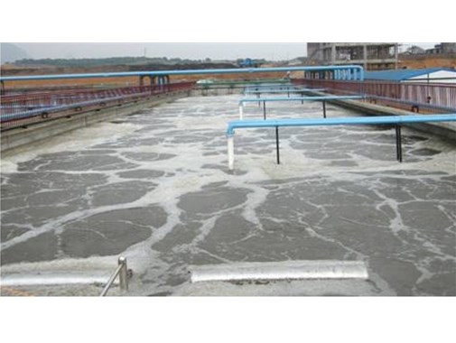 關(guān)于養(yǎng)殖廢水的來(lái)源