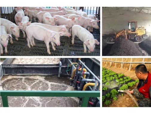 養(yǎng)殖場(chǎng)一年光處理污水的費(fèi)用就需要40萬(wàn)？？大可不必！