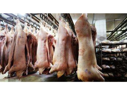 養(yǎng)殖戶(hù)多年的養(yǎng)殖污水處理技術(shù)分享