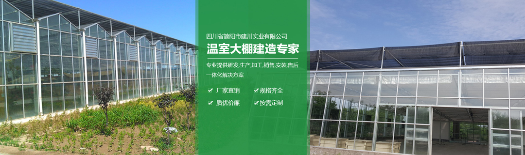 成功案例 成功案例