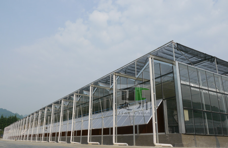 煙草育苗大棚 煙草育苗大棚