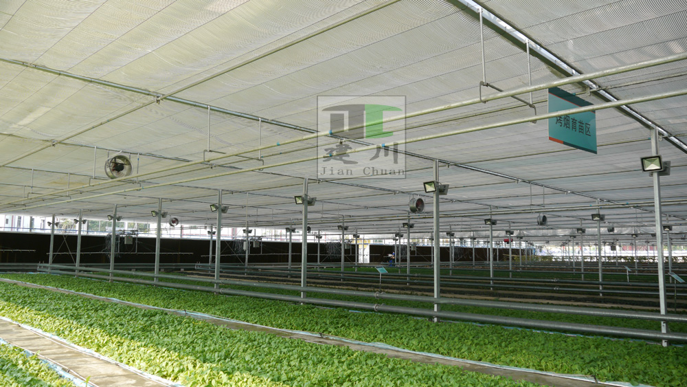 溫室大棚 溫室大棚