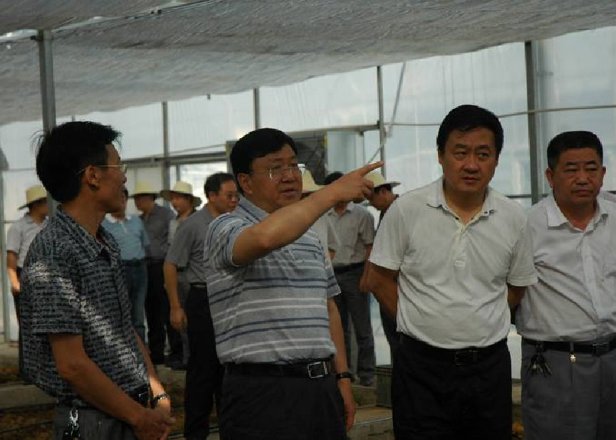 溫室大棚 溫室大棚