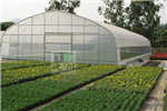 簡析四川蔬菜大棚建設標準技術(shù)要求