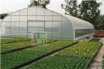 分析溫室大棚在建造過程中，需要注意的問題