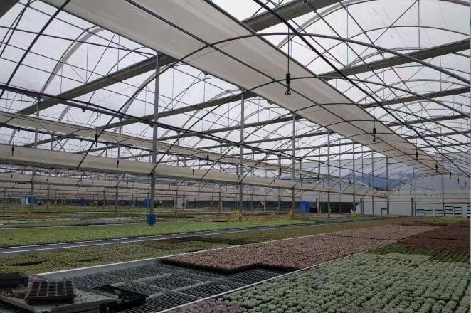 西藏溫室大棚建設(shè) 西藏溫室大棚建設(shè)