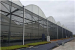 建四川溫室大棚時，如何規(guī)避溫室大棚滴水的現(xiàn)象