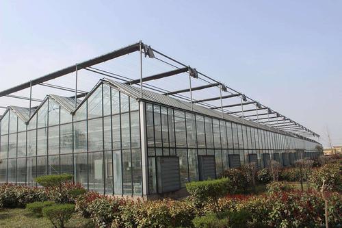 傳統(tǒng)的農(nóng)業(yè)與溫室大棚有什么區(qū)別，春季應(yīng)該如何進(jìn)行通風(fēng)管理