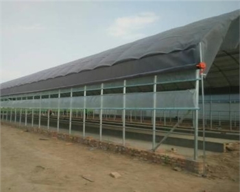 建四川養(yǎng)殖大棚用什么材料便宜且質(zhì)量好？