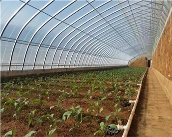 四川溫室大棚的分類有這些！