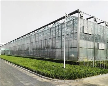 四川溫室大棚種植有哪些優(yōu)點是你還不知道的？