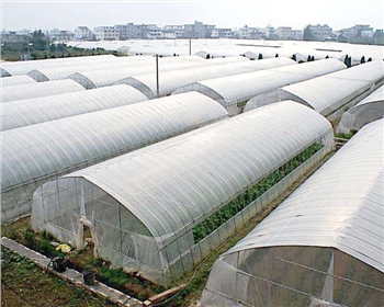 一起來看看四川蔬菜大棚種植知識，這七點(diǎn)你必須知道！