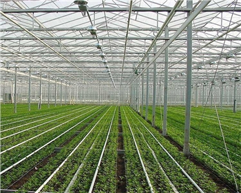 在四川溫室大棚內(nèi)的光照控制和調(diào)節(jié)如何實現(xiàn)？